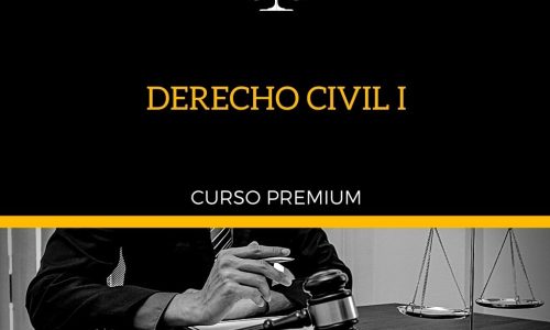 Derecho Civil I